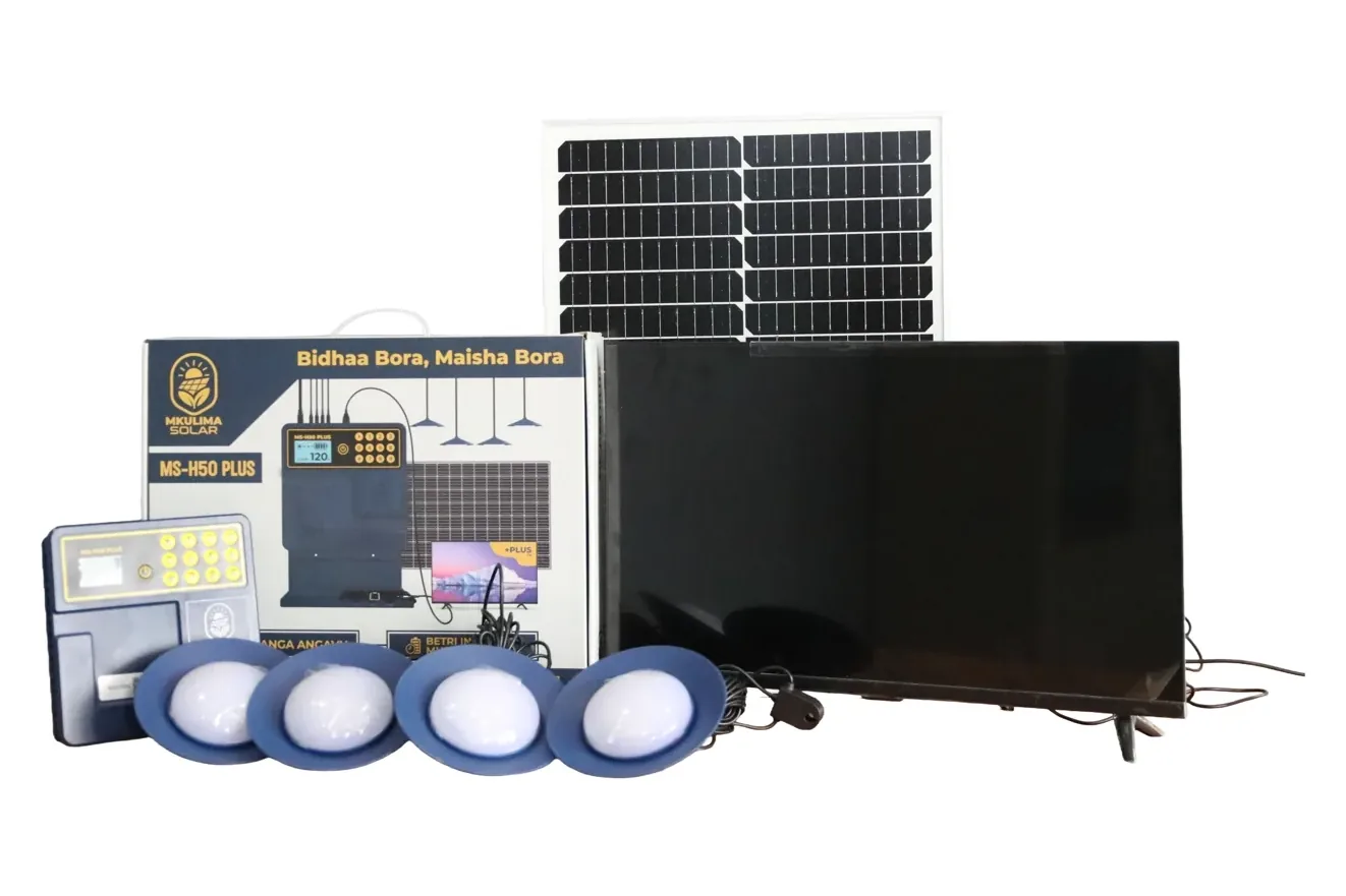 Mkulima Solar large system with TV