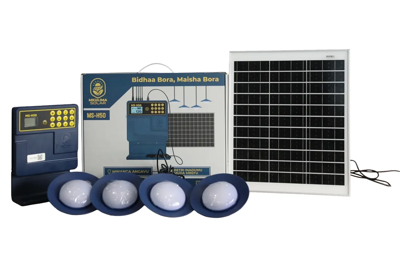 Mkulima Solar home system